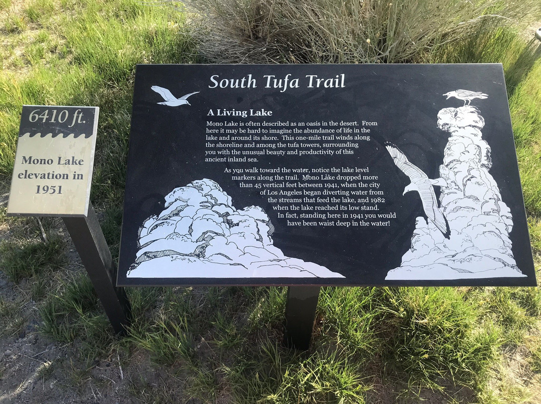 Mono Lake Vista Point-利韦宁必去景点