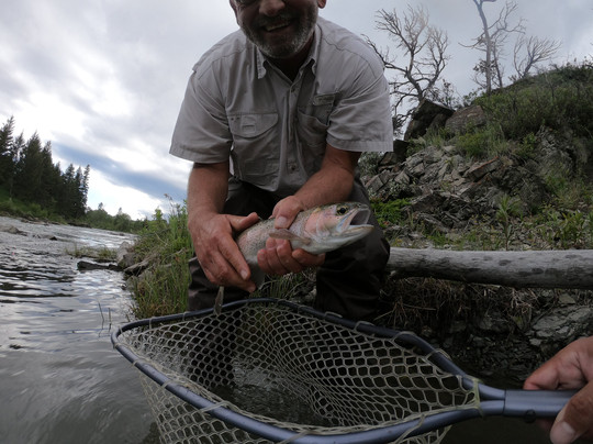 Forbidden Waters Fly Fishing-卡尔加里必去景点