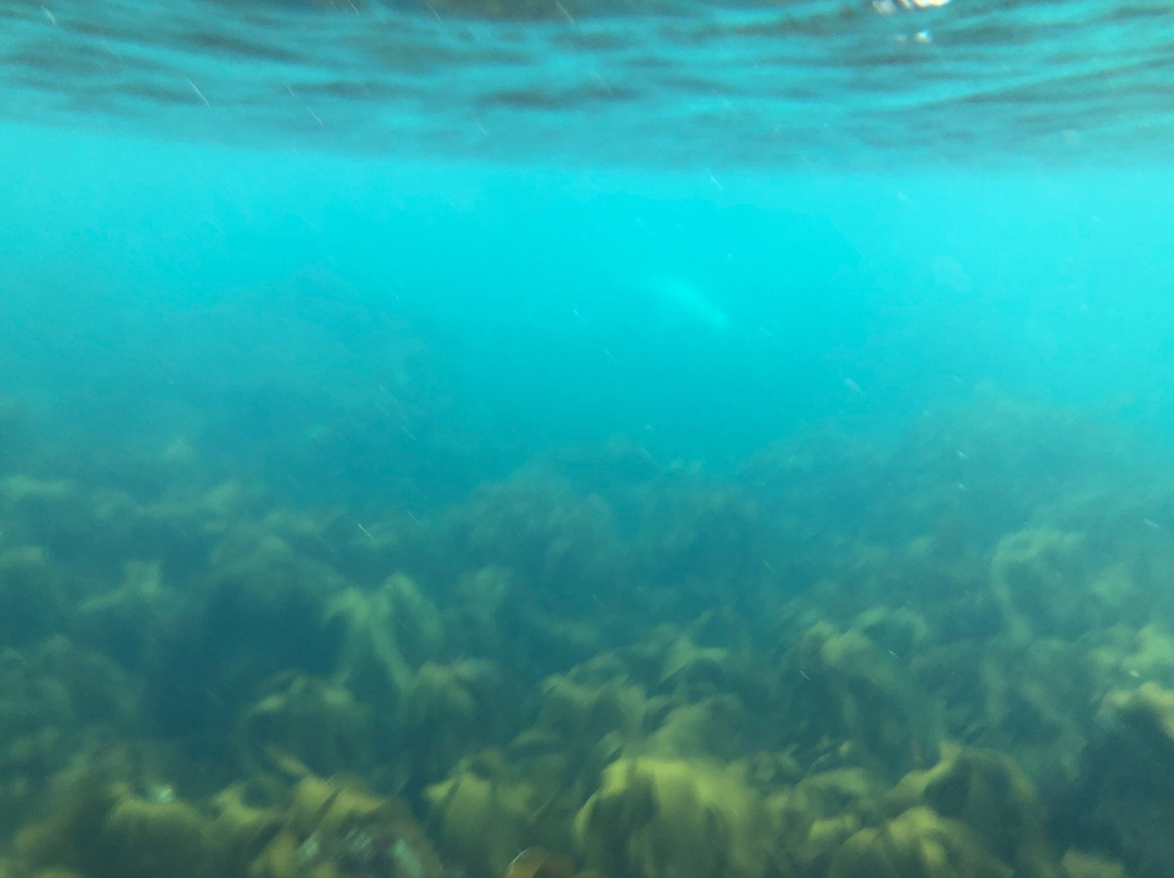 Clearwater Paddling景点图片