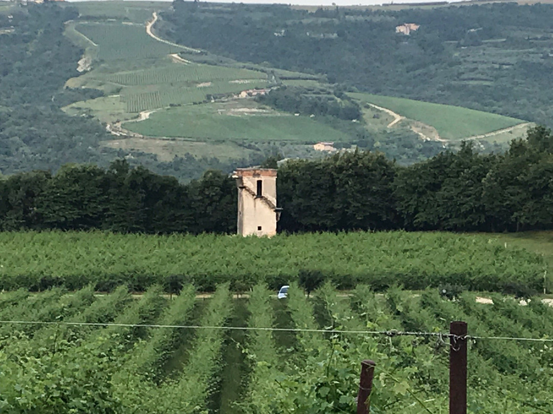 Tenuta Delo Relais主图