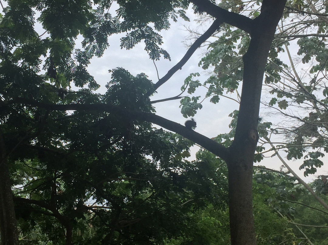 Parque Bolivar-Cartago必去景点