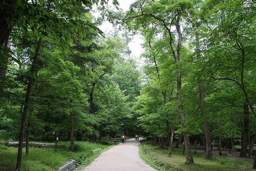 Gwangneung Royal Tombs-南杨州市必去景点