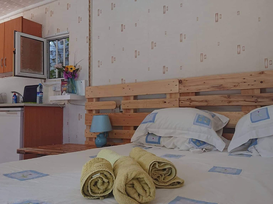 Green Bungalow主图