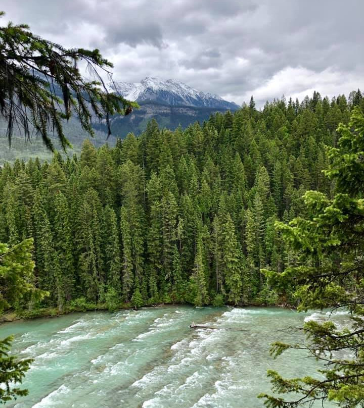 Wapta Falls-幽鹤国家公园必去景点