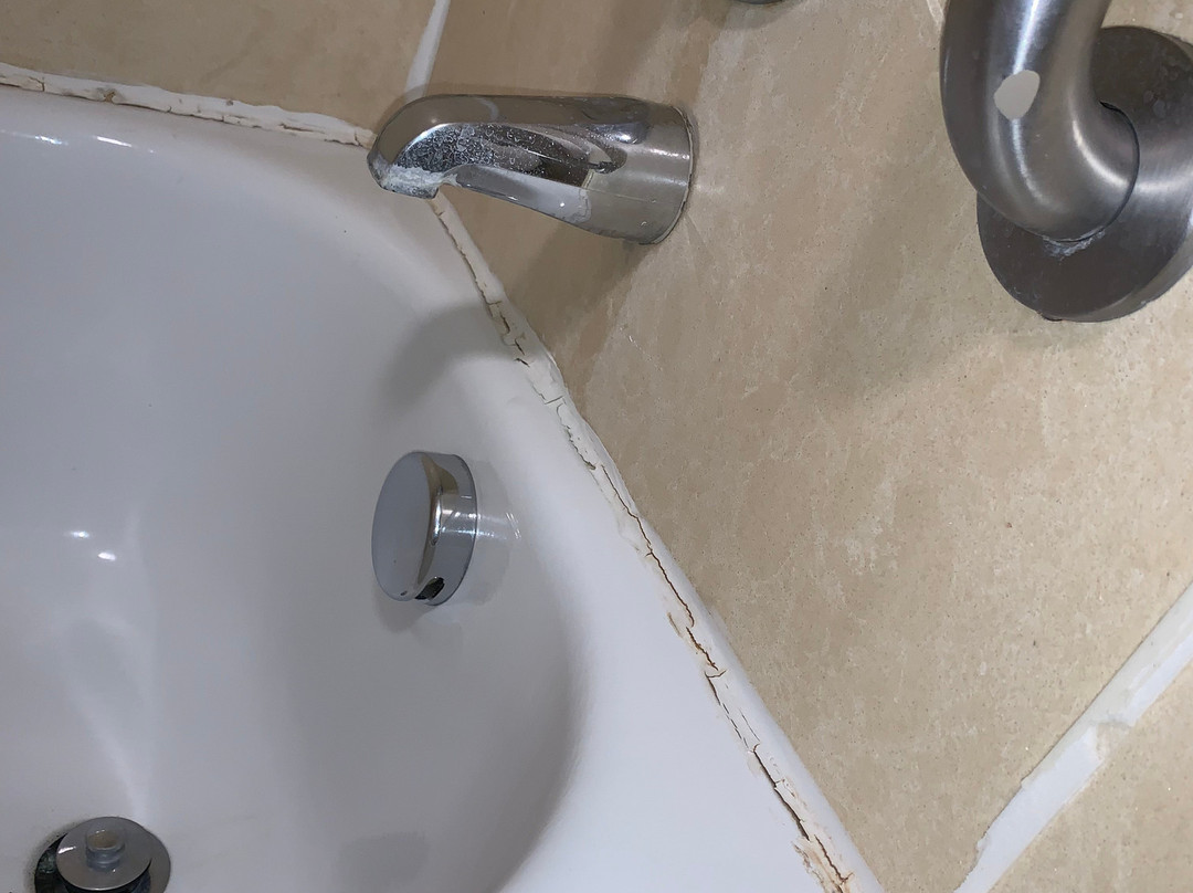 Staybridge Suites Tampa East - Brandon by IHG主图