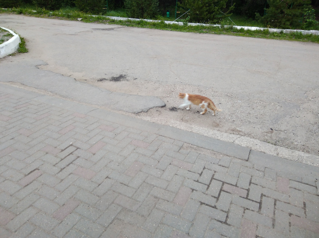 Staritsa Sanatorium主图