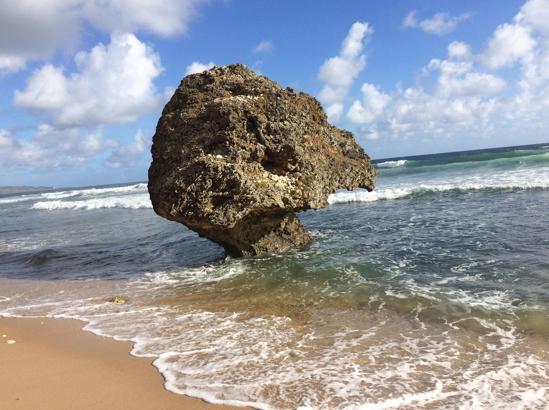 ECO Lifestyle & Lodge主图