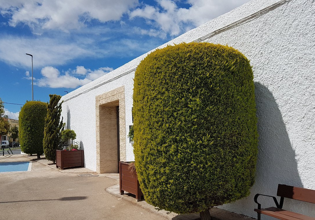 Cementerio Municipal-San Pedro del Pinatar必去景点