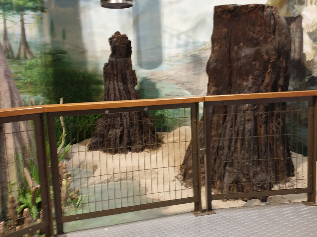 Herman Otto Museum景点图片