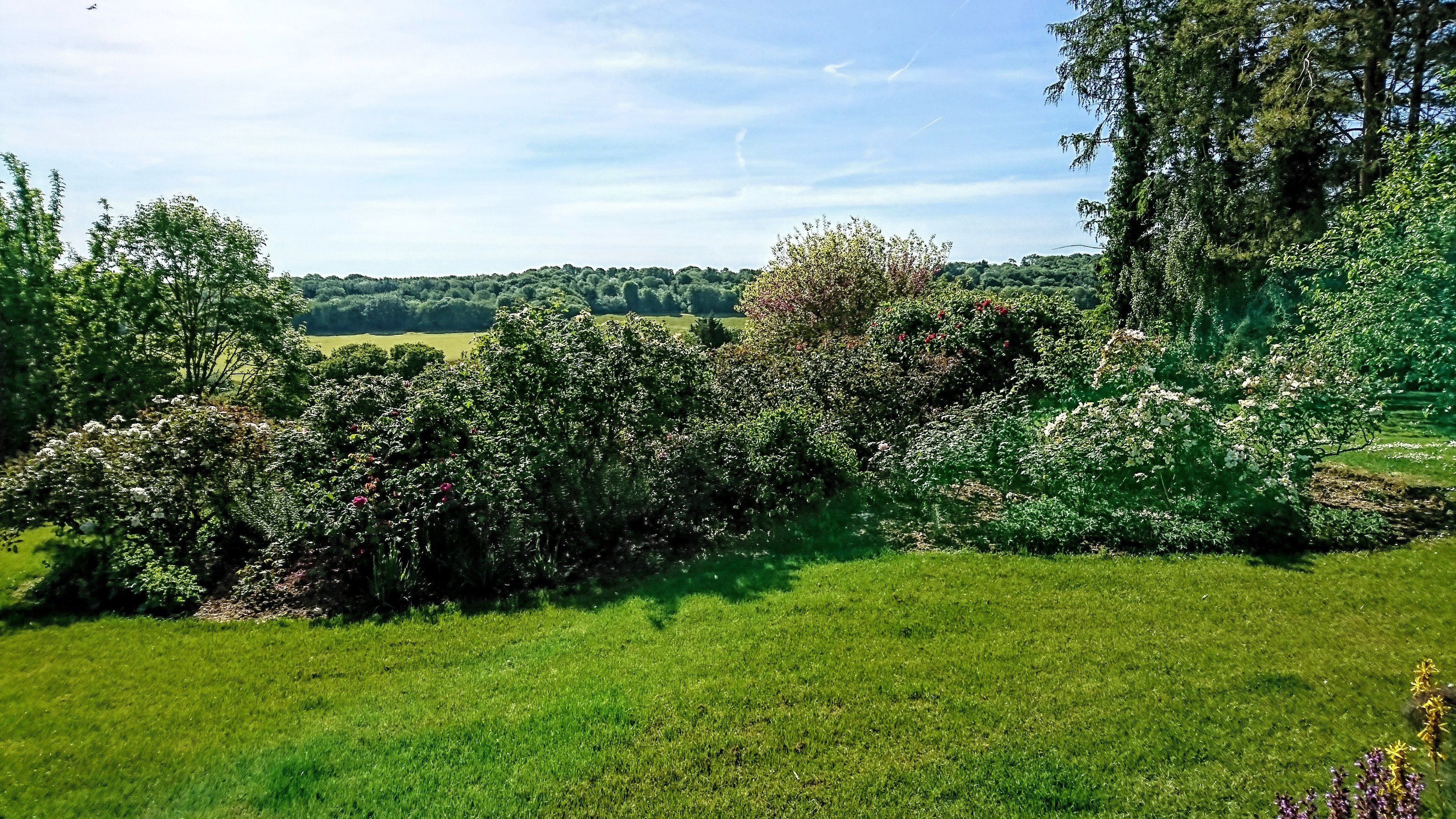 Hornbeams Bed and Breakfast-官方