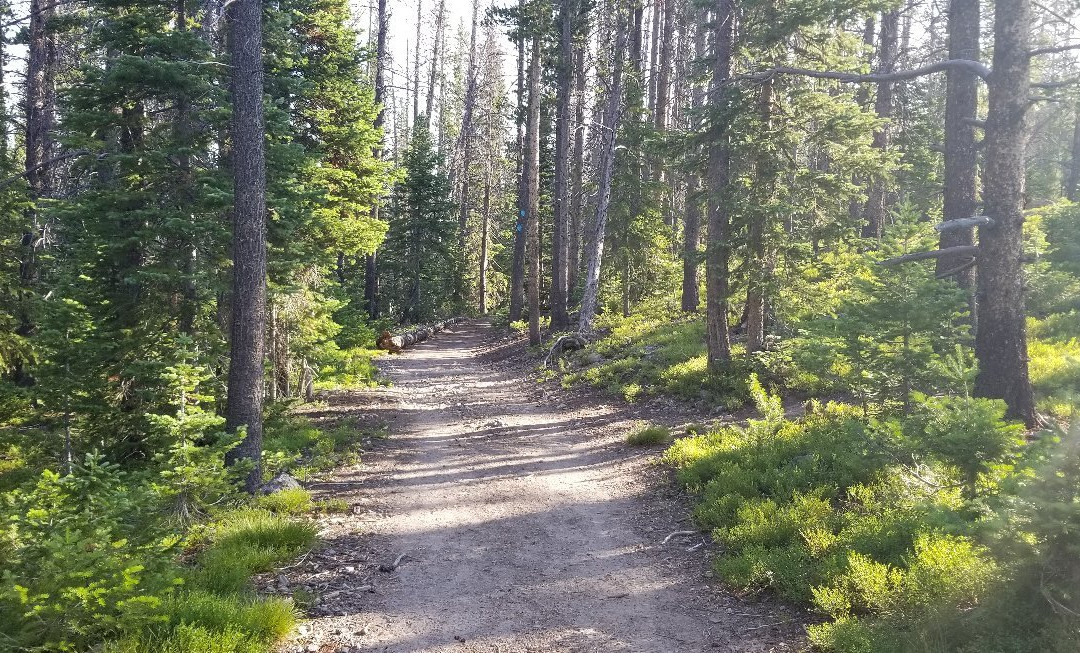 Blue Lake Trail-科林斯堡必去景点