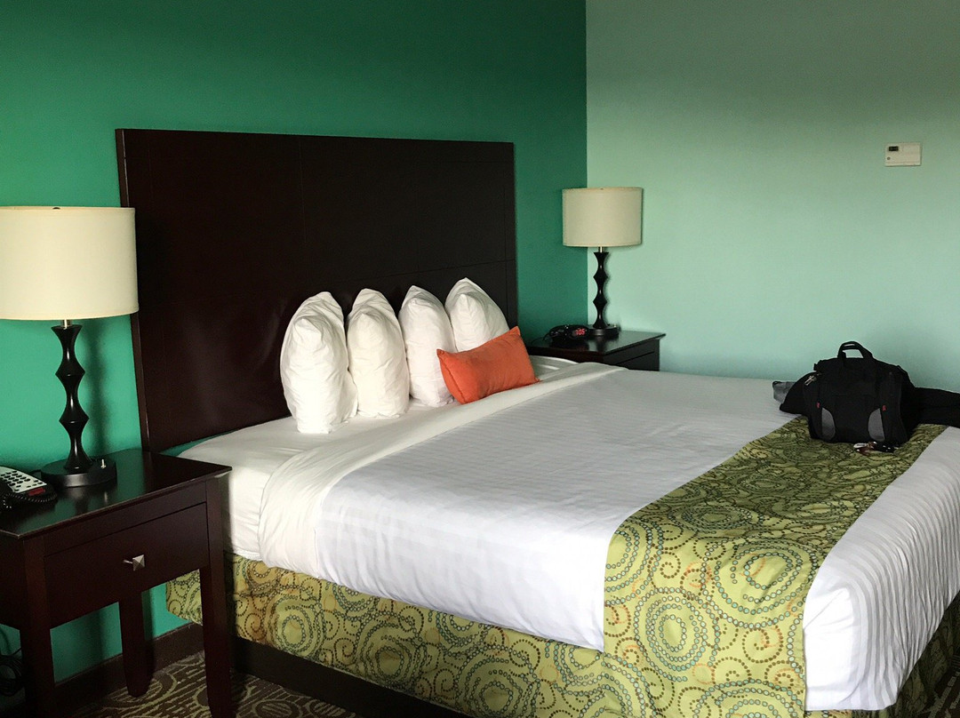 Best Western Plus Glen Allen Inn主图