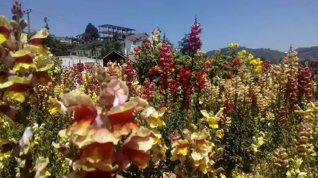 Yahansi Tours-锡吉里亚必去景点