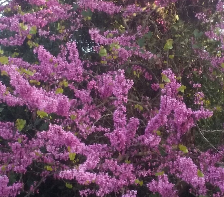 Polylimnio Waterfalls Tours-Charavgi必去景点