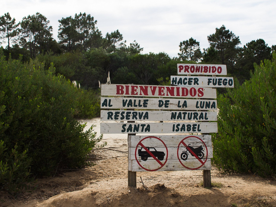 Valle De La Luna-Rocha必去景点