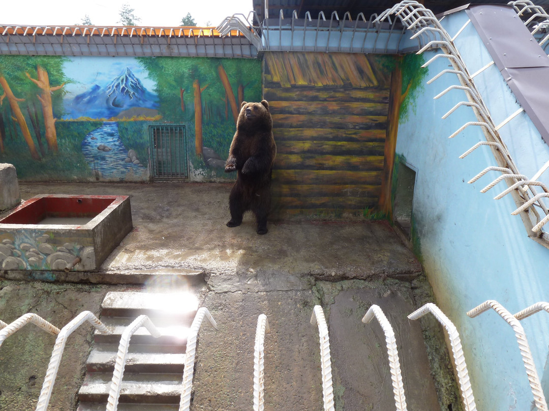 Zoo, baza otdykha Sosnoviy Bor-秋明必去景点