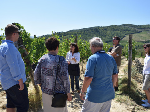 Tuscanist - Masters of Tuscany-阿雷佐必去景点