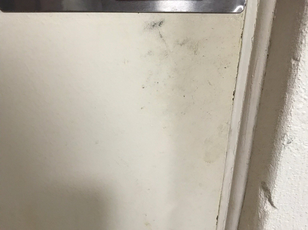 Timbertown Resort & Motel主图