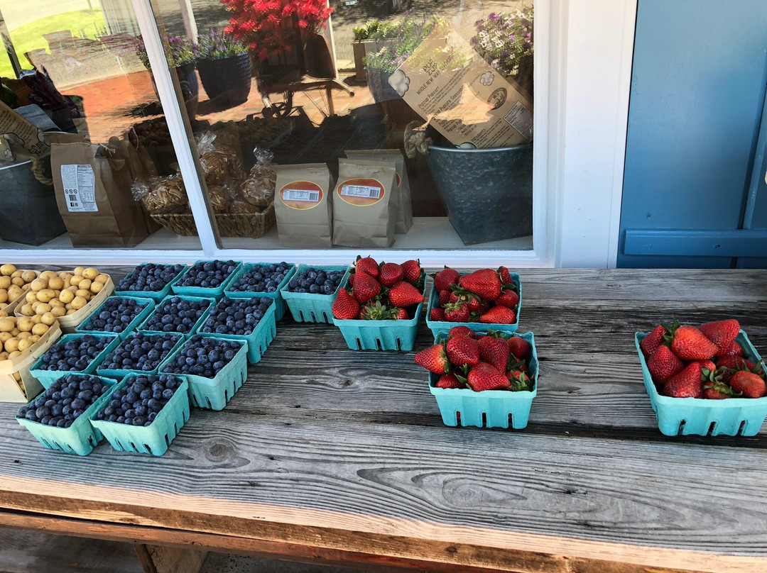 Round Swamp Farm-Bridgehampton必去景点