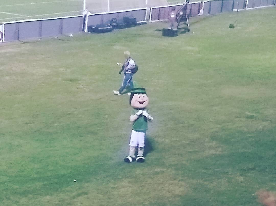 Brinco de Ouro da Princesa stadium-坎皮纳斯必去景点