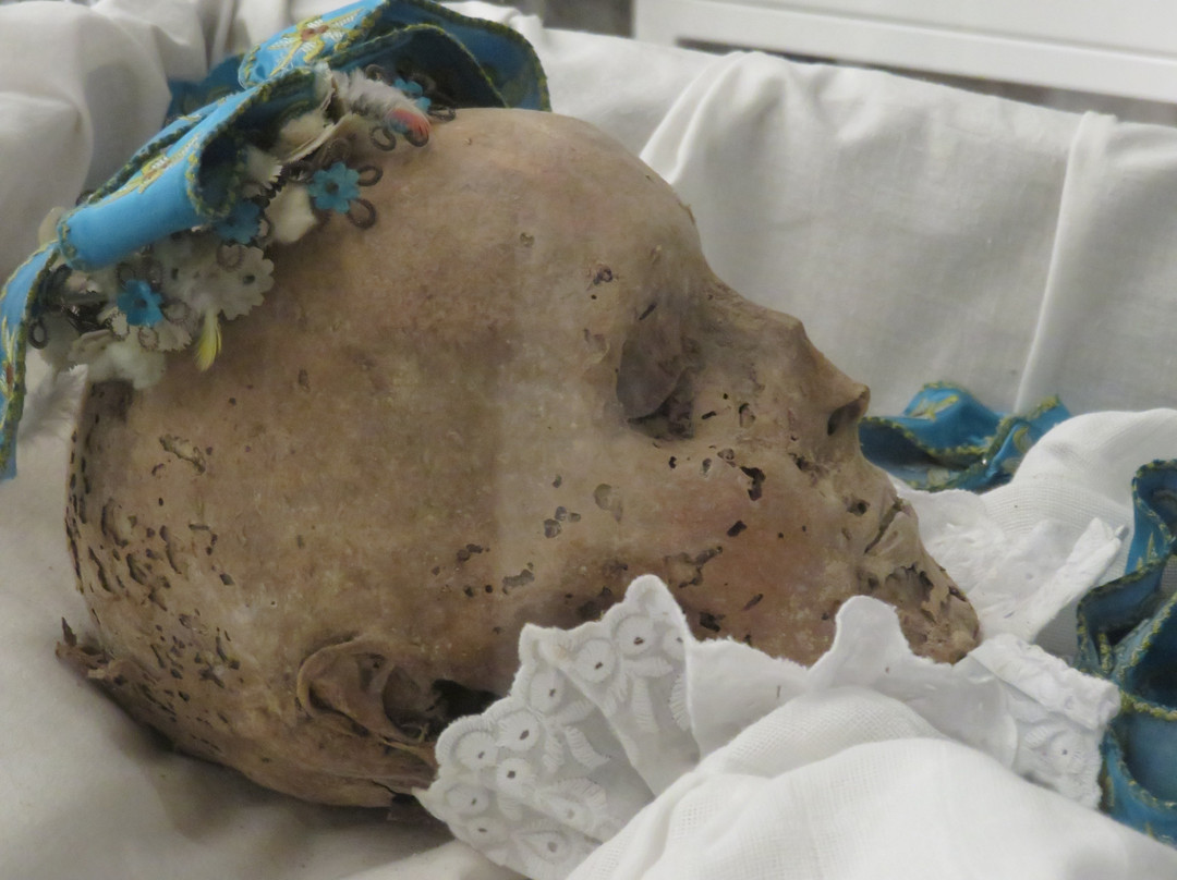 Tragor Ignác Museum - Memento Mori Exhibition景点图片