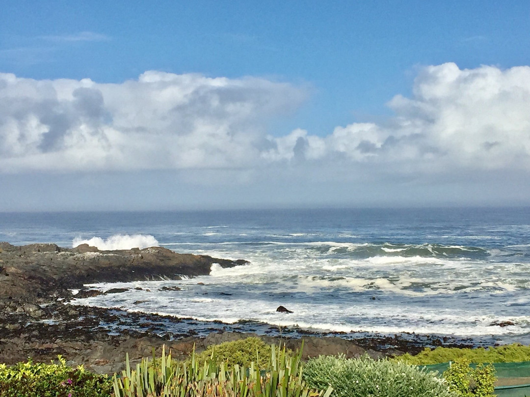 雷文斯-埃森住宿加早餐酒店主图