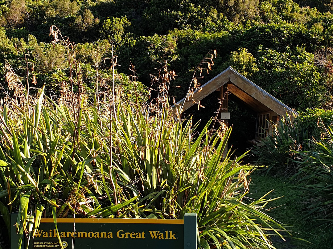 Lake Waikaremoana Great Walk景点图片