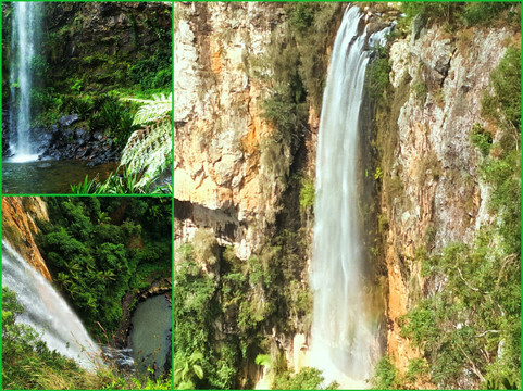 Gold Coast Rainforest Tours & Hikes