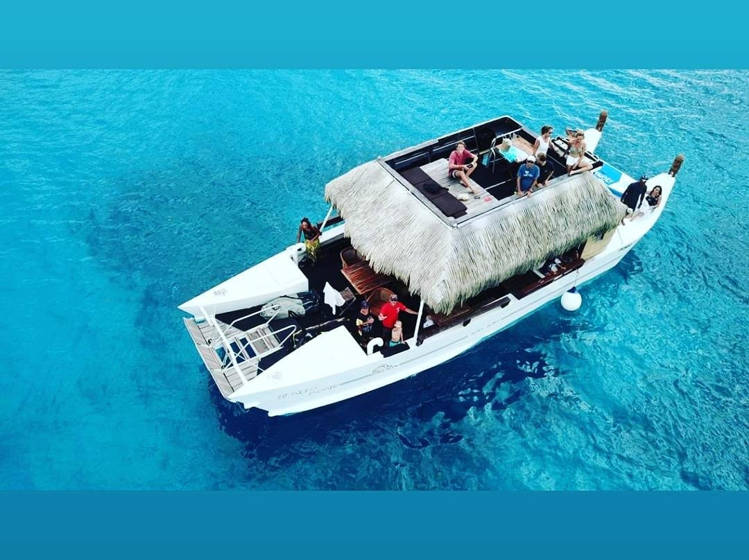 Bora Bora Lagoon cruise-瓦伊塔佩必去景点