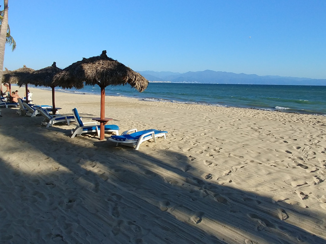 Vista Vallarta All Suites on the Beach主图