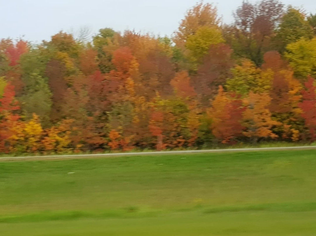 Chinar Golf Club-Bhurban必去景点