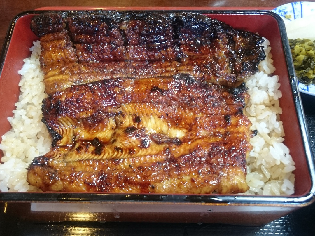うなぎ川魚料理 魚清