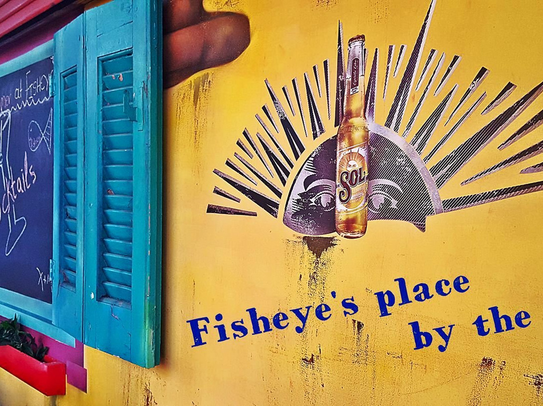 FishEye景点图片