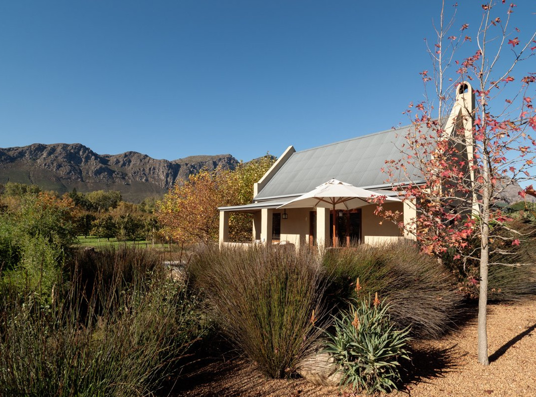 La Petite Dauphine主图