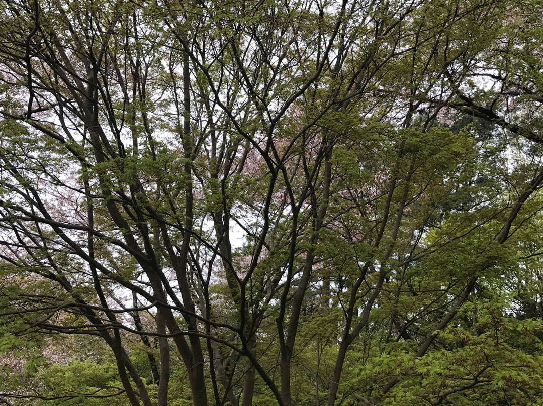 Nagano Park-河内长野市必去景点