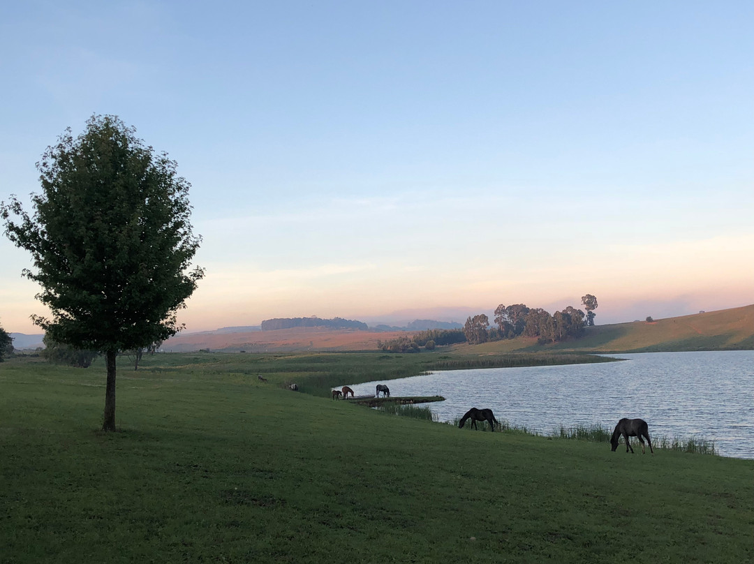 Dullstroom on the Dam-德尔斯特鲁姆必去景点