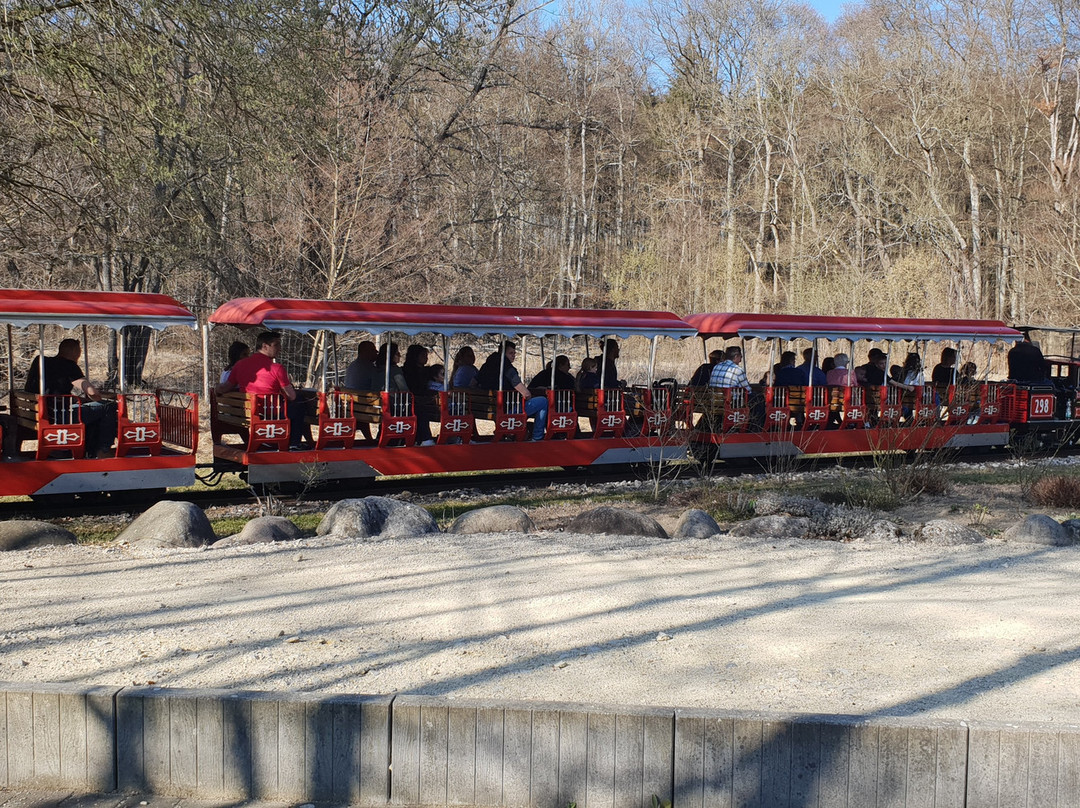 Wild - und Freizeitparkpark Allensbach Bodensee景点图片