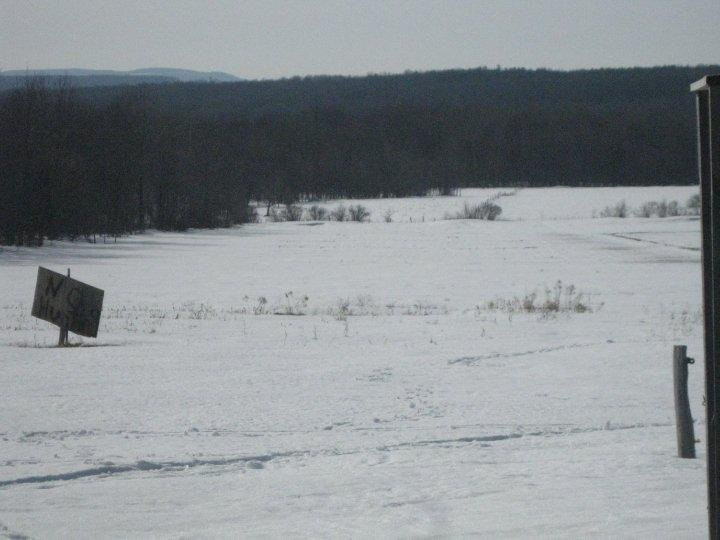 Freedom旅游攻略图片