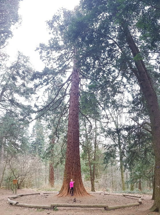 Sprunghohe-海德尔堡必去景点