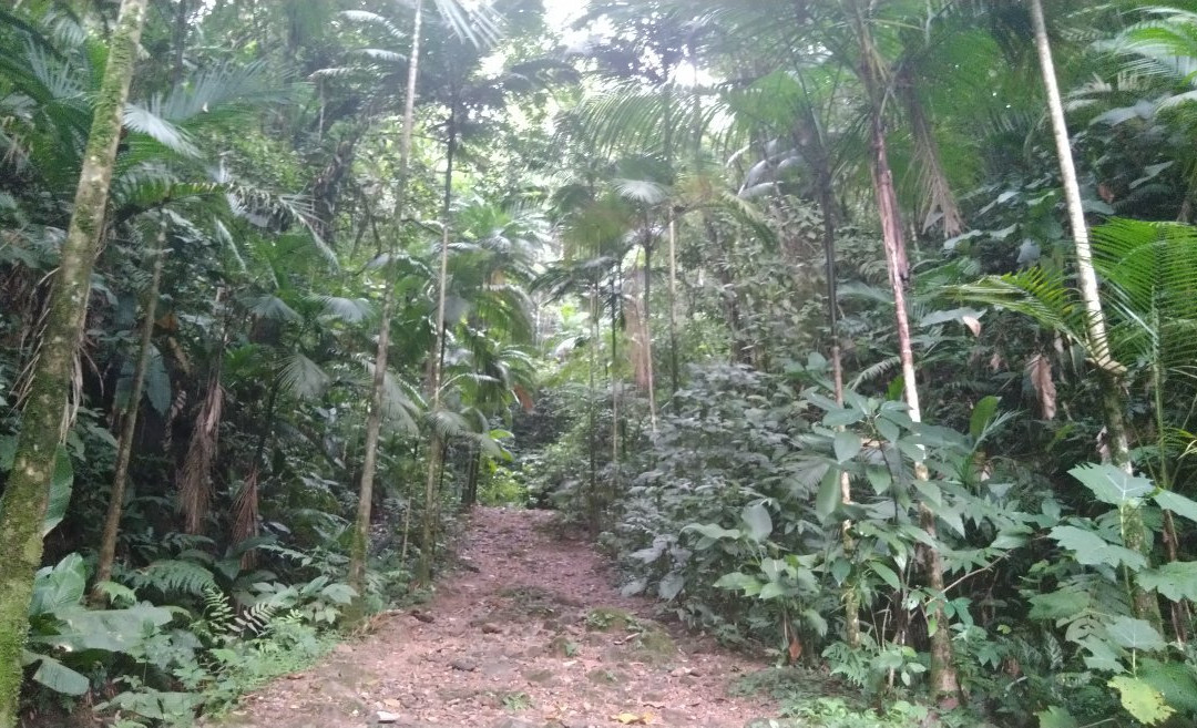 Parque Aquatico Cascata Carolina-Gaspar必去景点