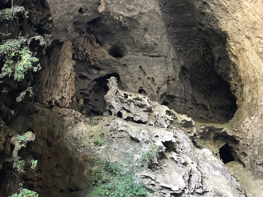 巴马长寿村景点图片