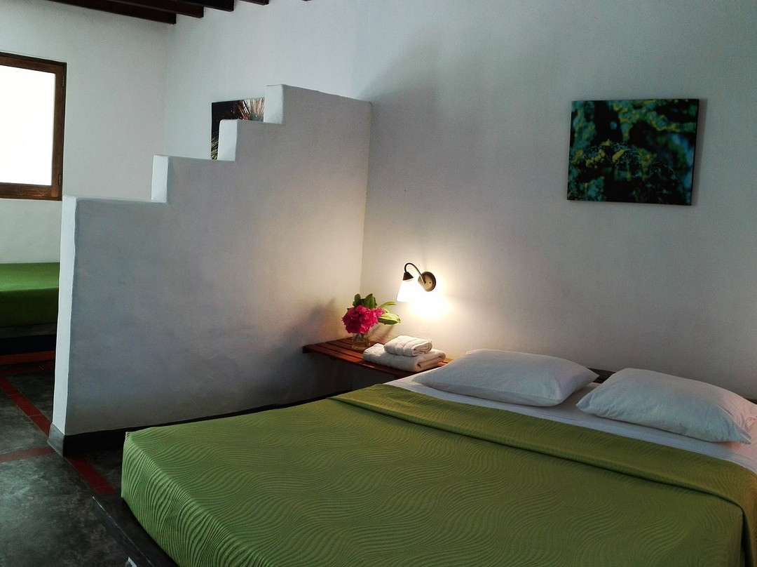 Posada Casa Las Trinitarias主图