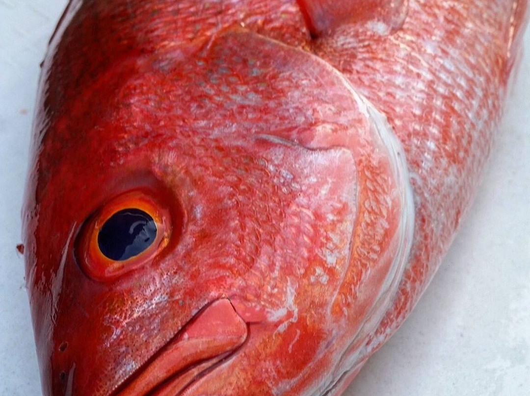 Liquid Fire Sportfishing景点图片