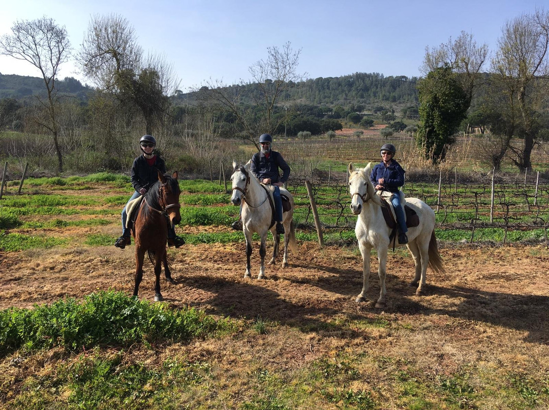 Watermelon Experiences Lisbon - Portugal-阿尔马达必去景点