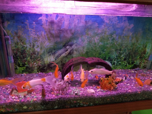 Atrium Mall-卡拉奇必去景点