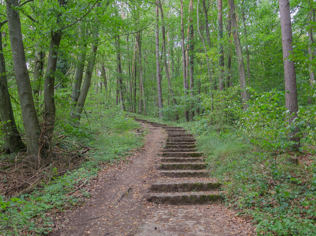 Deutsch-Luxemburgischer Naturpark景点图片