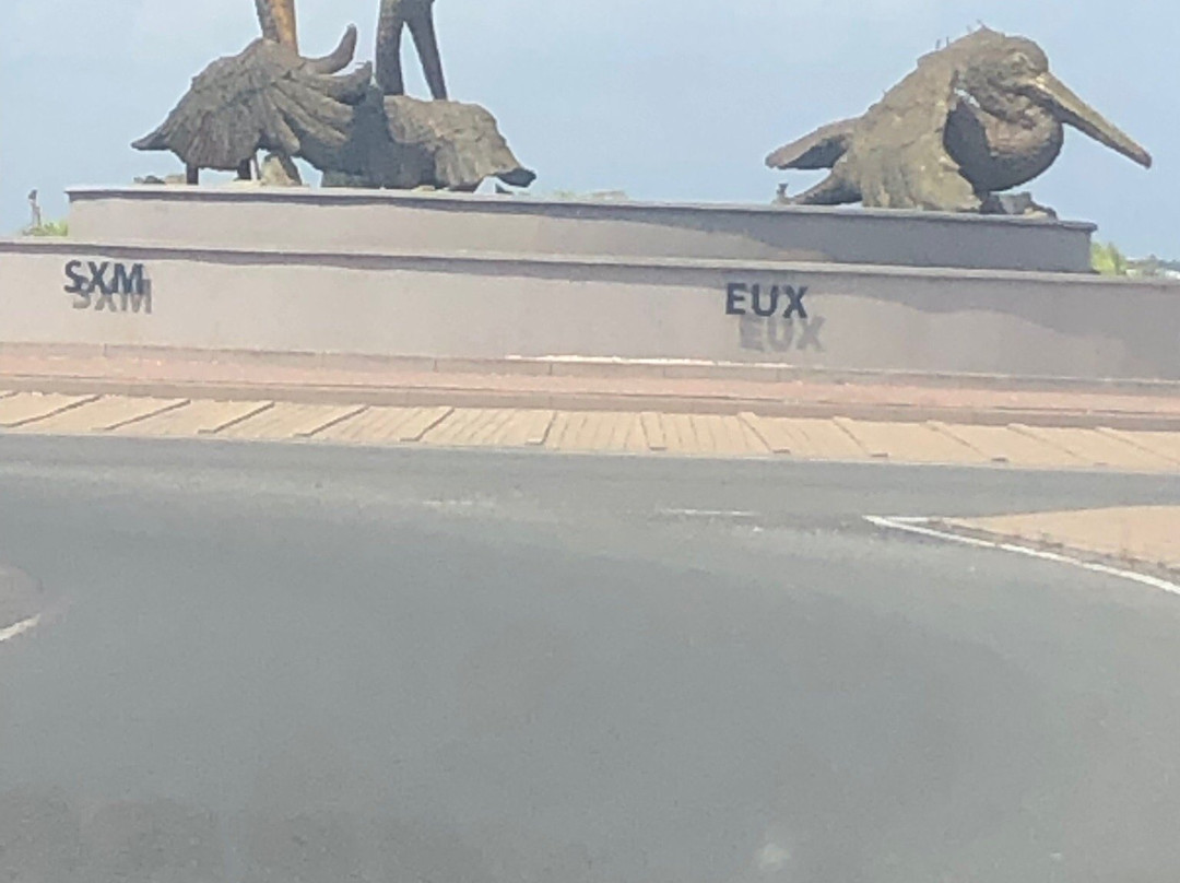 Brown Pelicans-辛普森湾必去景点