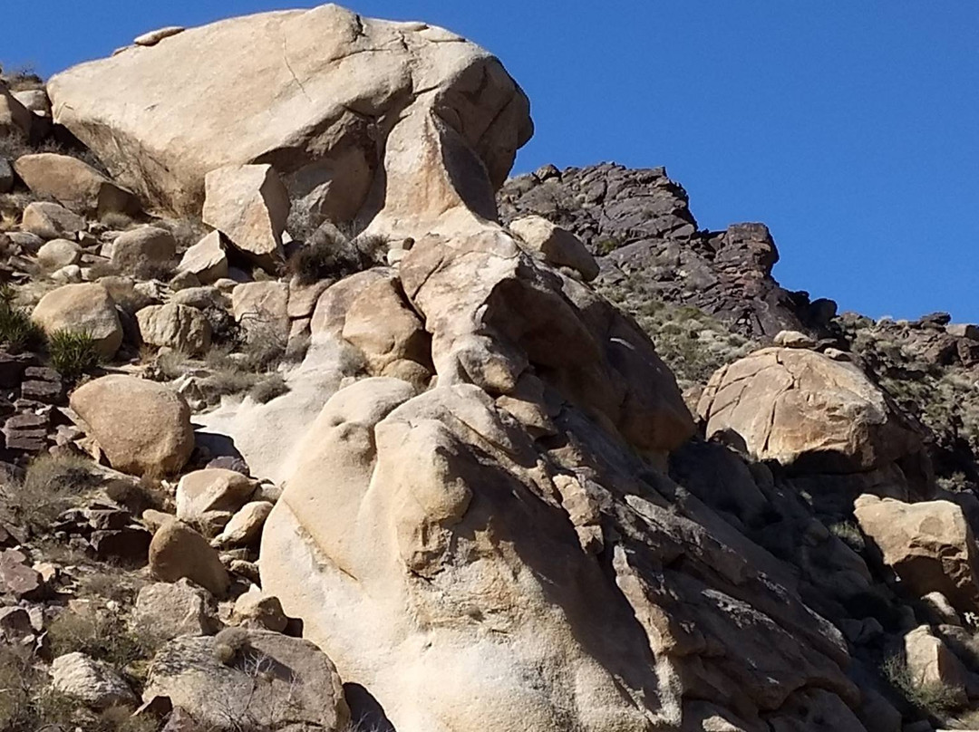 Grapevine Canyon-拉芙琳必去景点