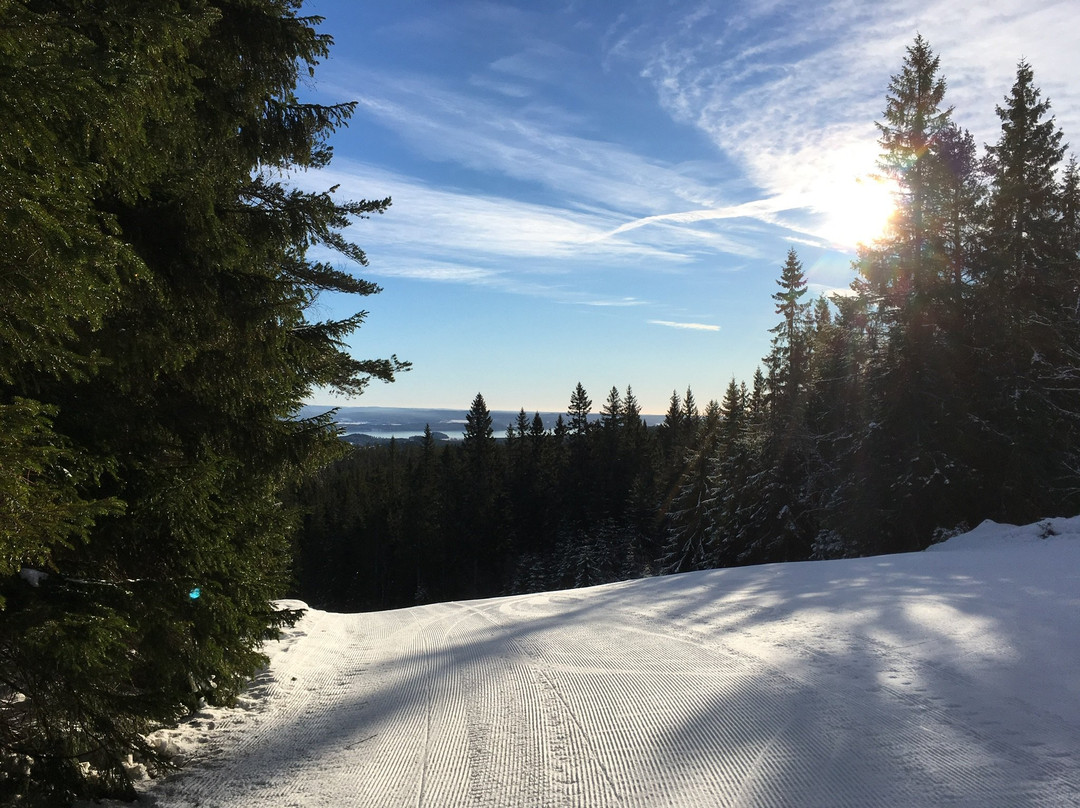 Sunne Ski & Bike景点图片