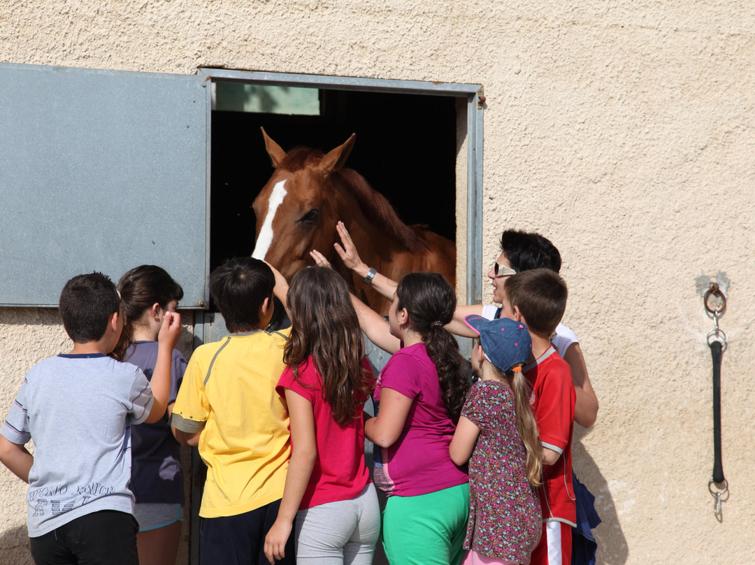 Equestrian Club of Cyclades景点图片